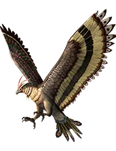 Falco