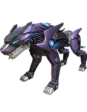 Night Panther
