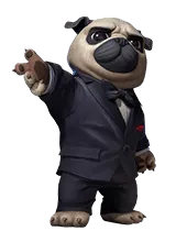 Pug