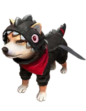 Shiba